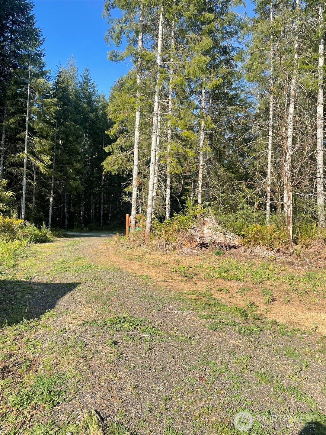 14253 West Cloquallum Road Elma, WA 98541 - Photo 9 of 40