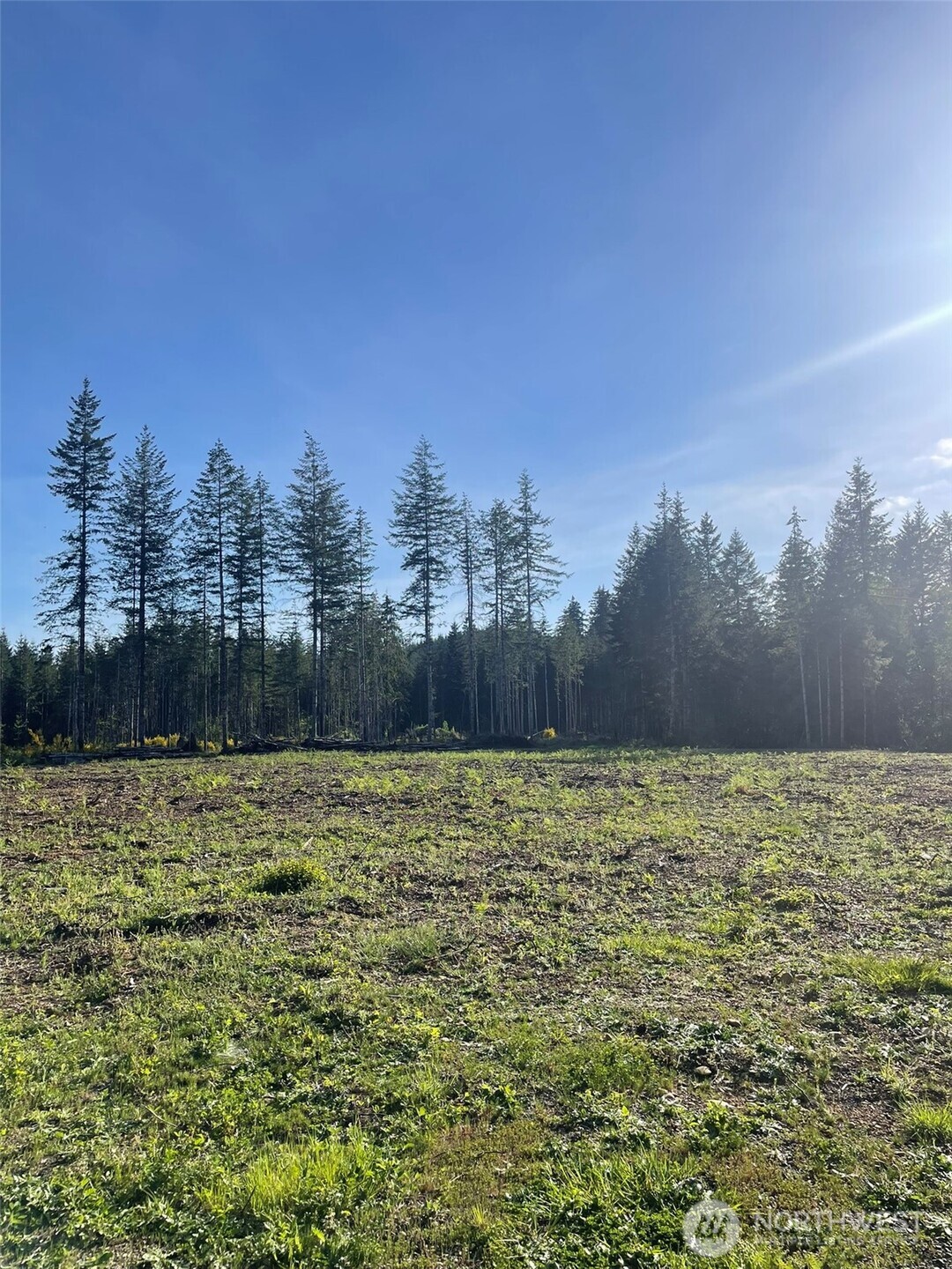 14253 West Cloquallum Road Elma, WA 98541 - Photo 10 of 40