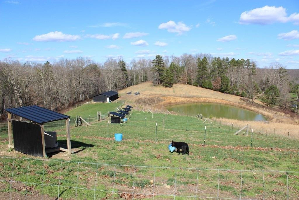 1176 War Fork Road McKee, KY 40447 - Photo 22 of 48 Photo 22