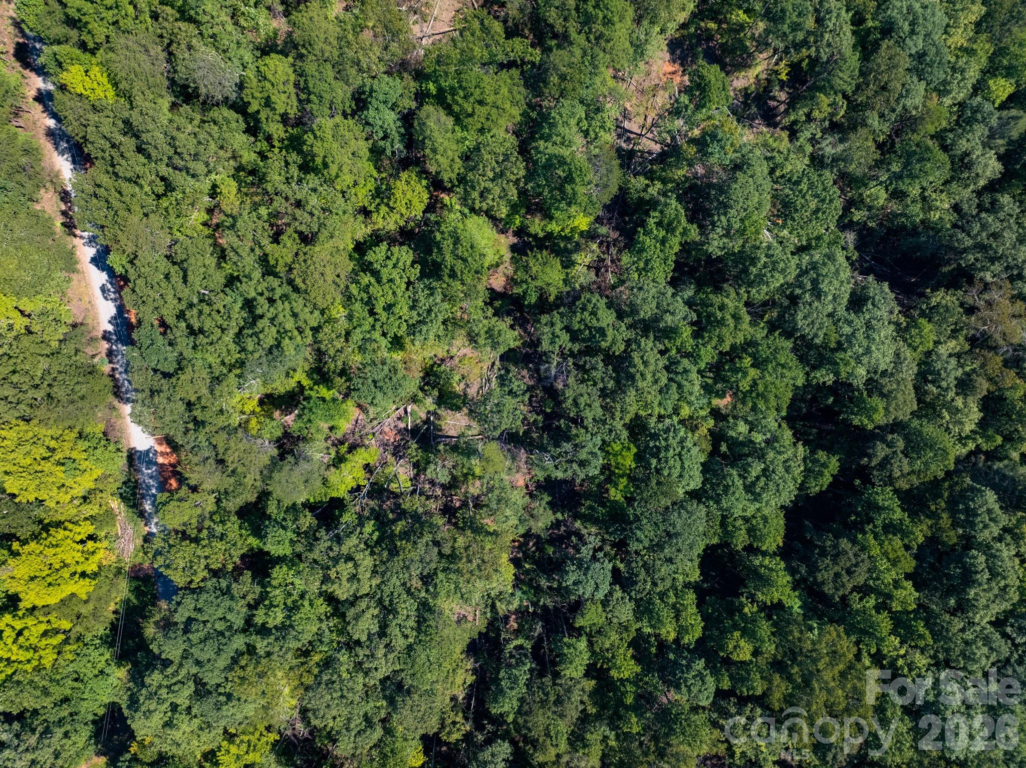 0 Calhoun Trail Rutherfordton, NC 28139 - Photo 15 of 20 Gallery Image 15