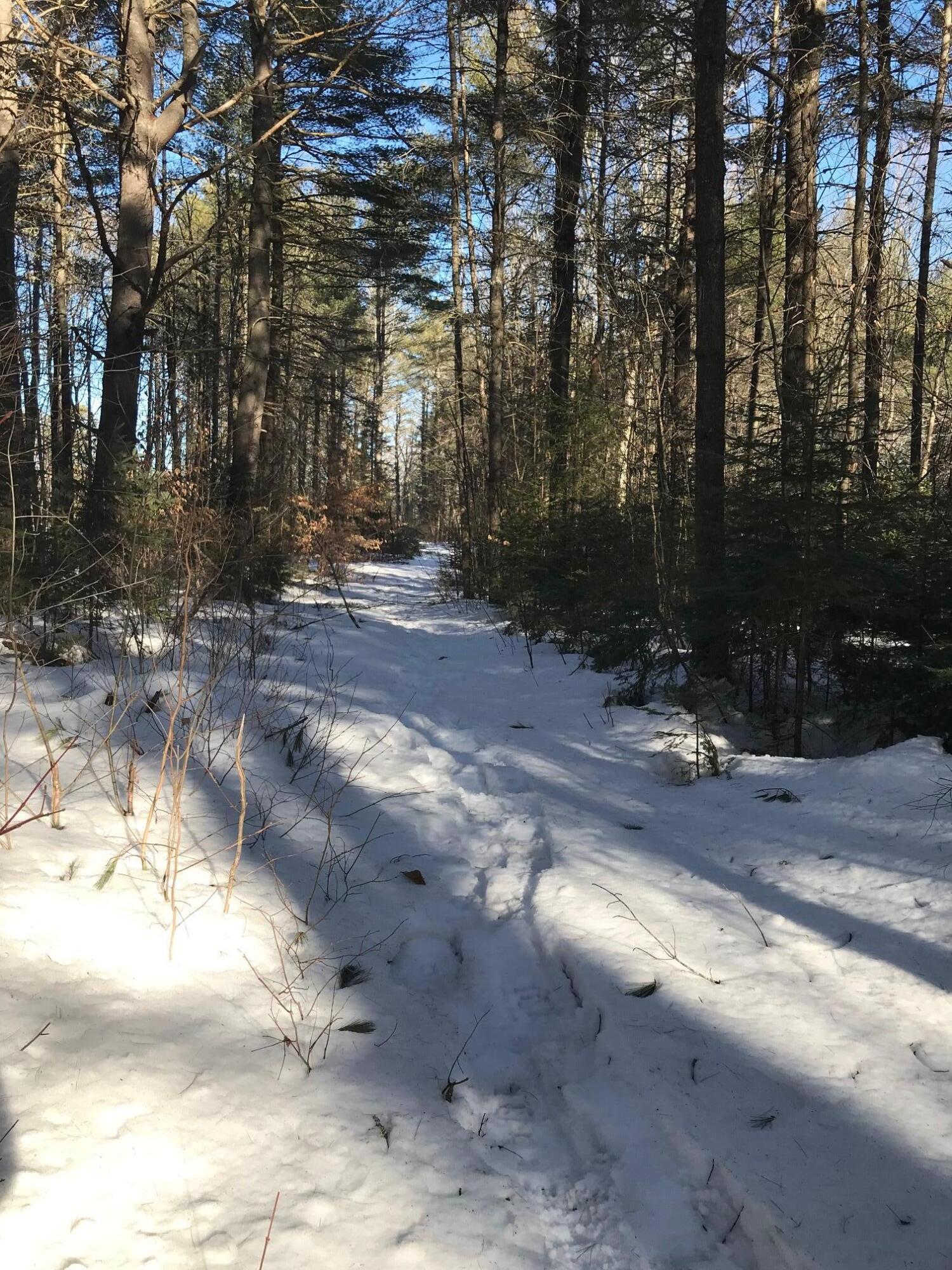 R7-21 River Road Madison, ME 04950 - Photo 2 of 13 Shannon Land Pic Entrance 2