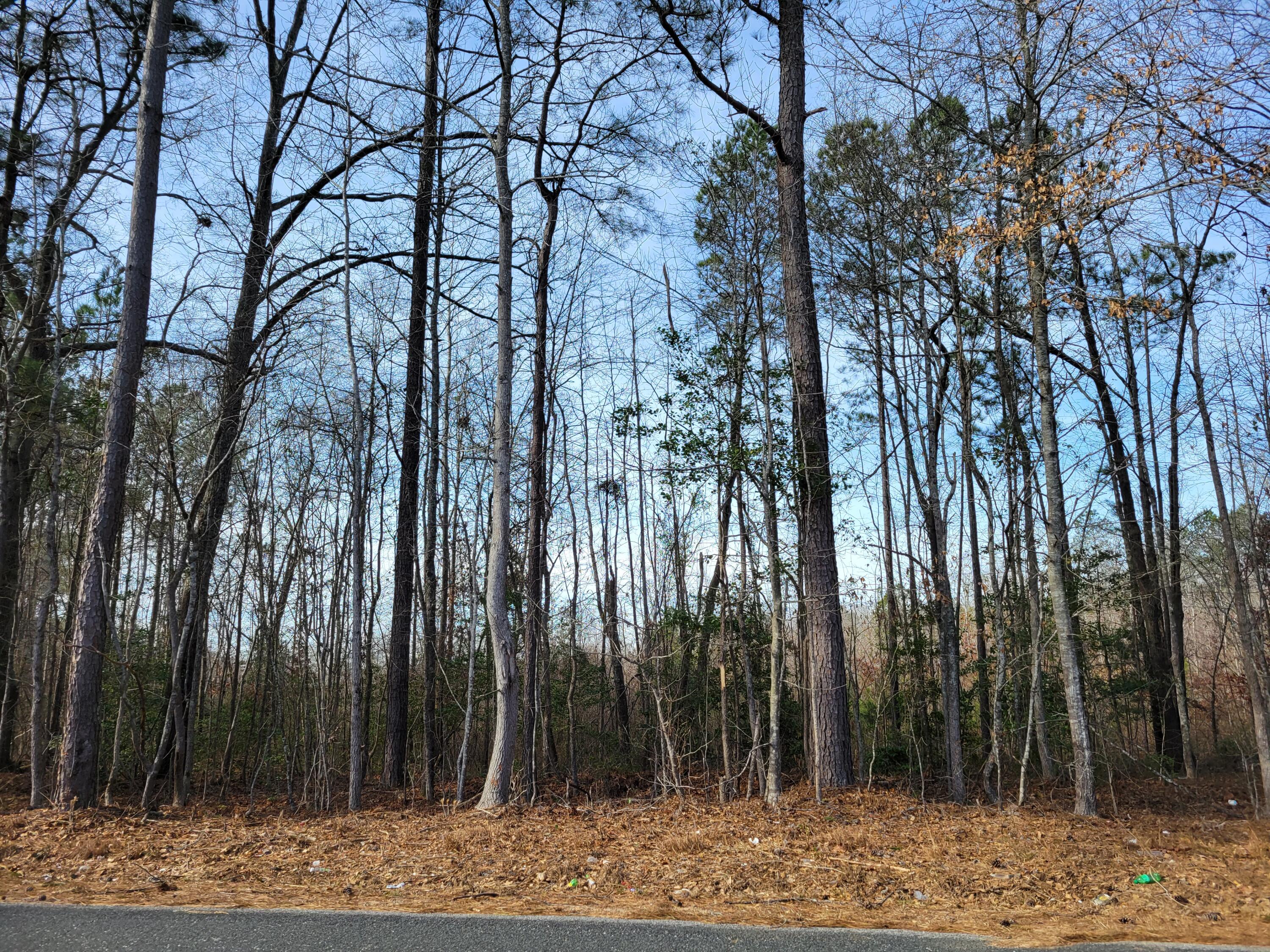 31-45 Promised Land Road Edgefield, SC 29824 - Photo 1 of 1 Front