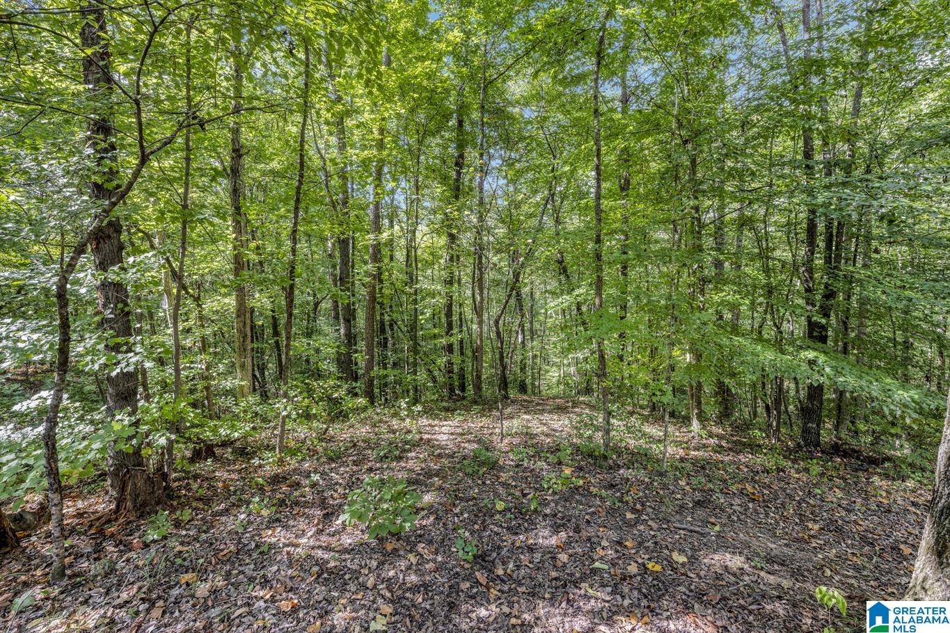 2477 Cox Cove Road Hayden, AL 35079 - Photo 39 of 39
