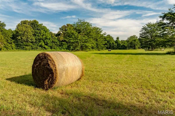 $895,000 | 14038 County Road 405, Dexter, MO 63841