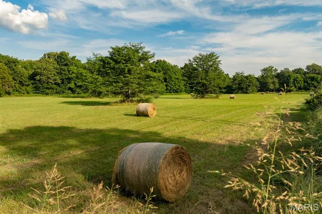 $895,000 | 14038 County Road 405, Dexter, MO 63841