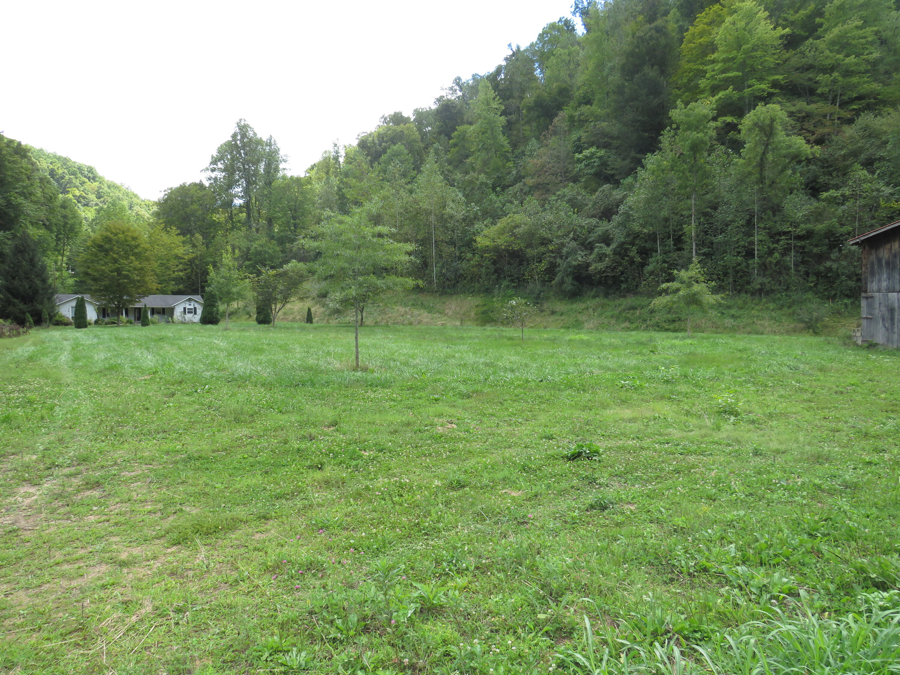 108 Lost Fork Road Manchester, KY 40962 - Photo 64 of 111 IMG_4468