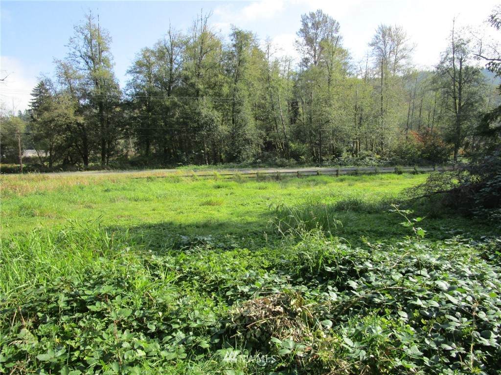 22415 Dubuque Road Snohomish, WA 98290 - Photo 16 of 24