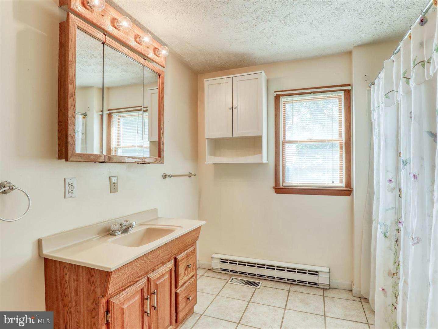 234 Gun Club Road Stephenson, VA 22656 - Photo 19 of 28 Large Full Bath
