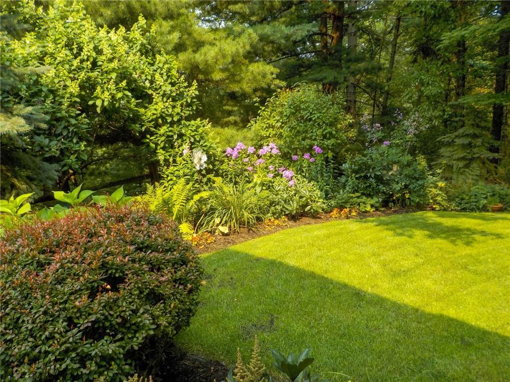 2430 Brandt School Road Wexford, PA 15090 - Photo 24 of 25 a view of a yard with a tree