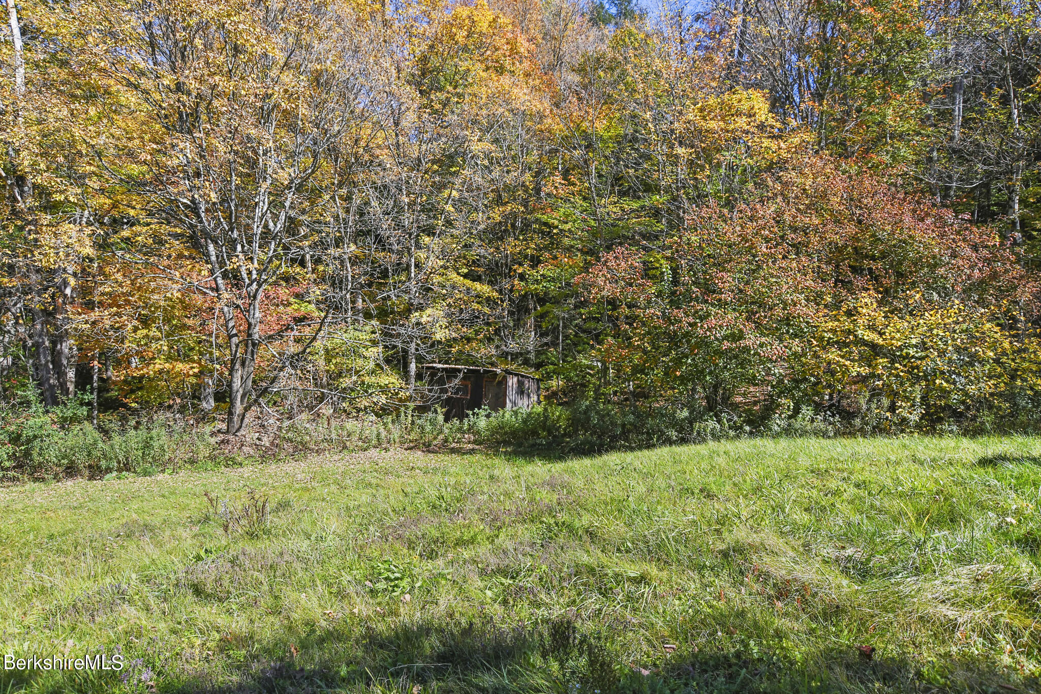 74 Old Main Road Savoy, MA 01256 - Photo 12 of 42 a view of yard with green space