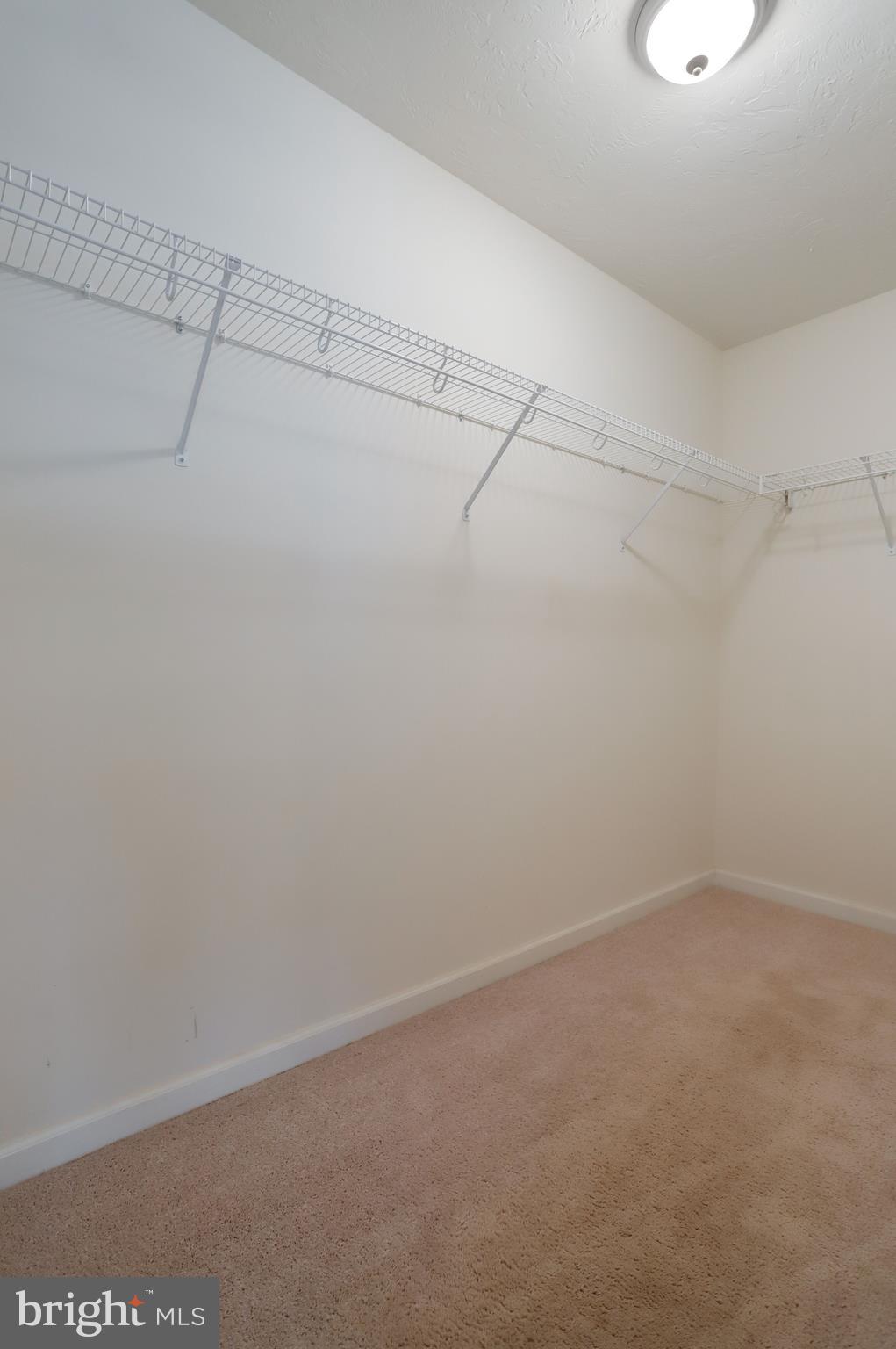 5227 Wayne Road Chambersburg, PA 17202 - Photo 29 of 45 Walk in closet