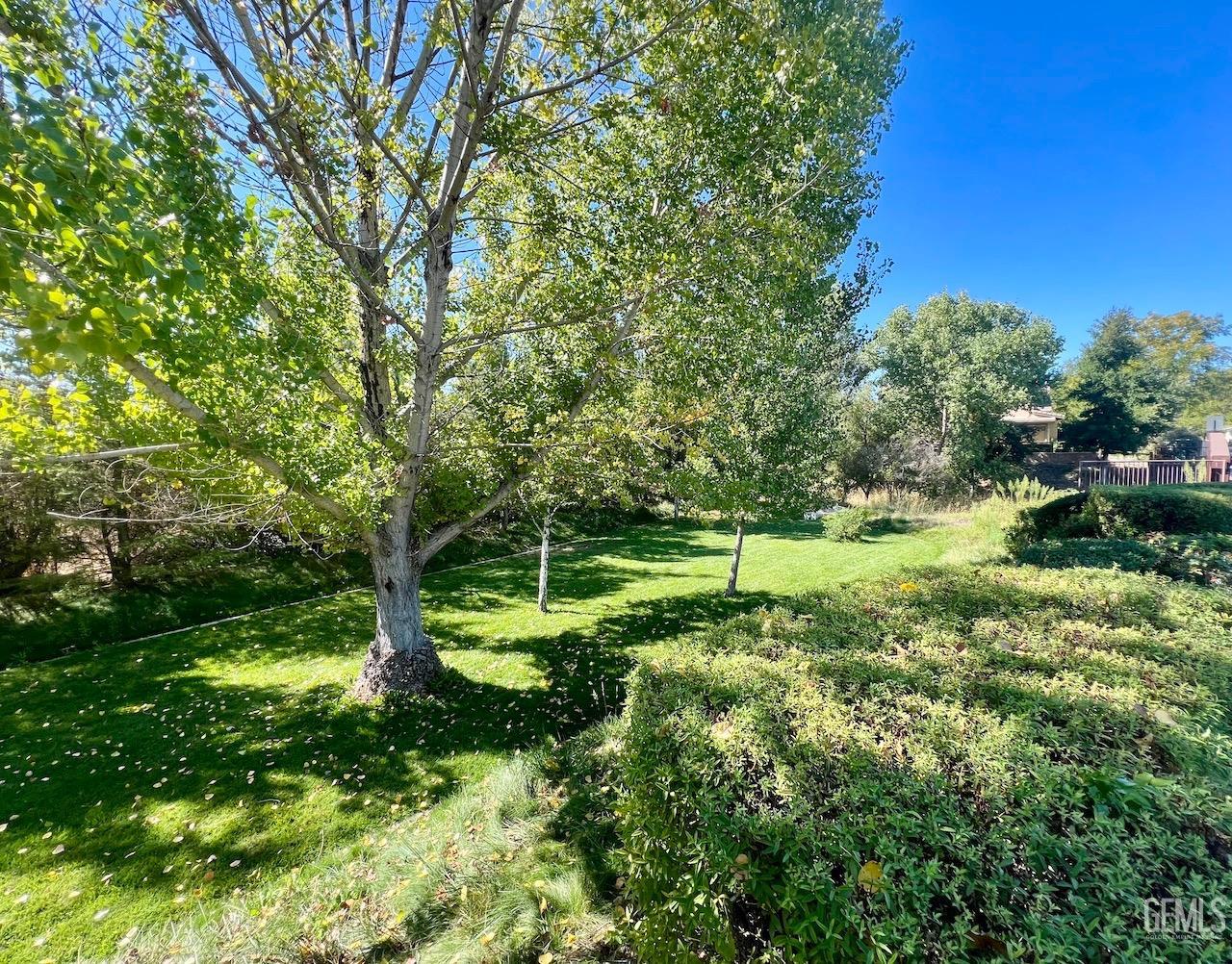 Undisclosed Address Atascadero, CA 93422 - Photo 29 of 30 a view of a green yard with large trees