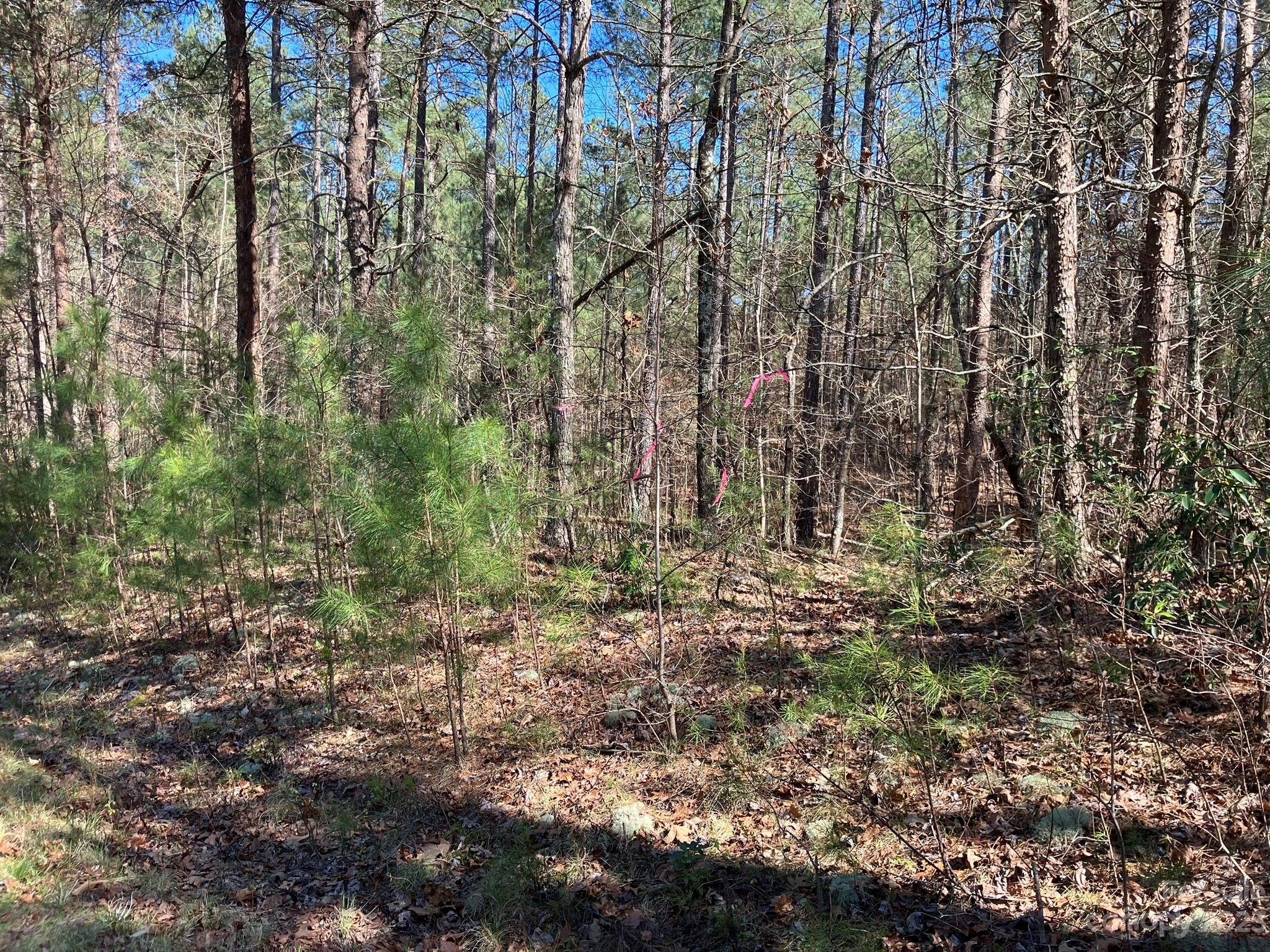 0 Clark Road, Unit LOT 1 Rutherfordton, NC 28139 - Photo 2 of 10