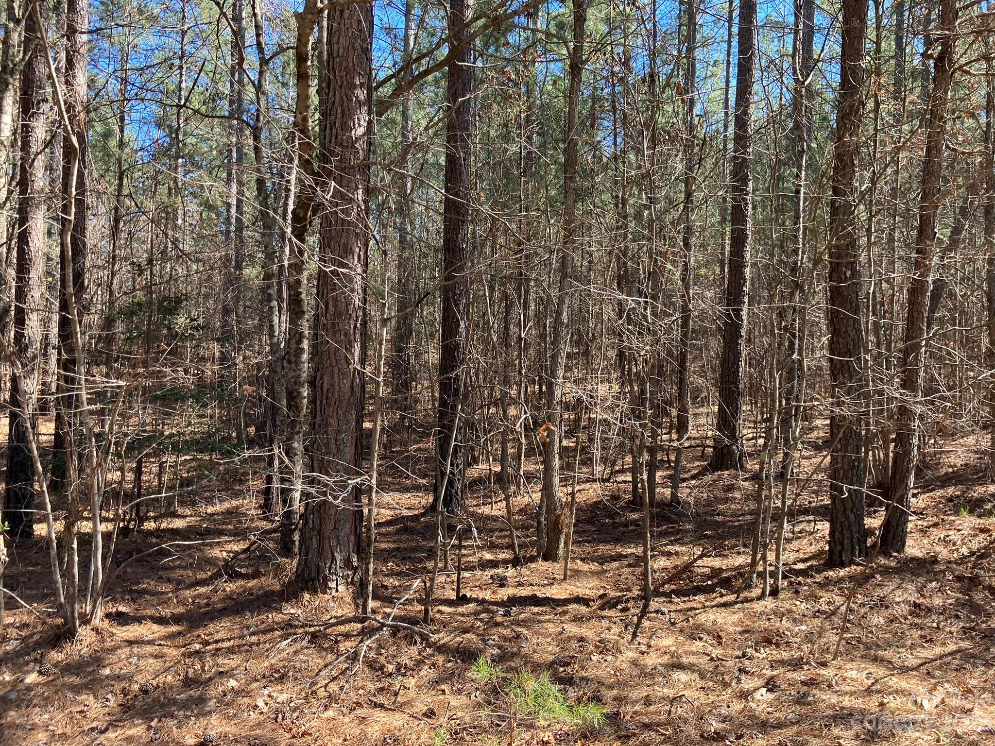 0 Clark Road, Unit LOT 1 Rutherfordton, NC 28139 - Photo 3 of 10