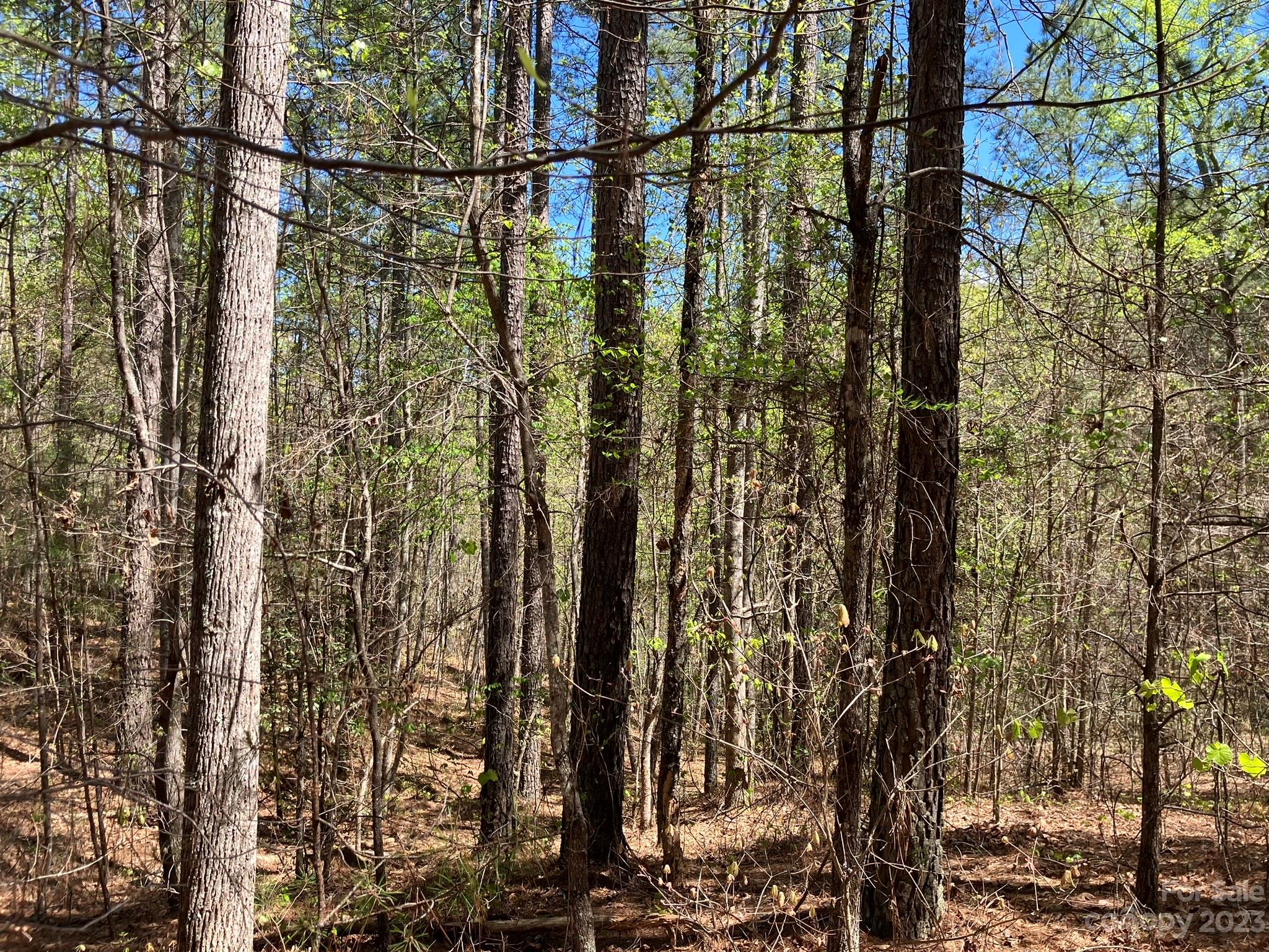 0 Clark Road, Unit LOT 1 Rutherfordton, NC 28139 - Photo 5 of 10