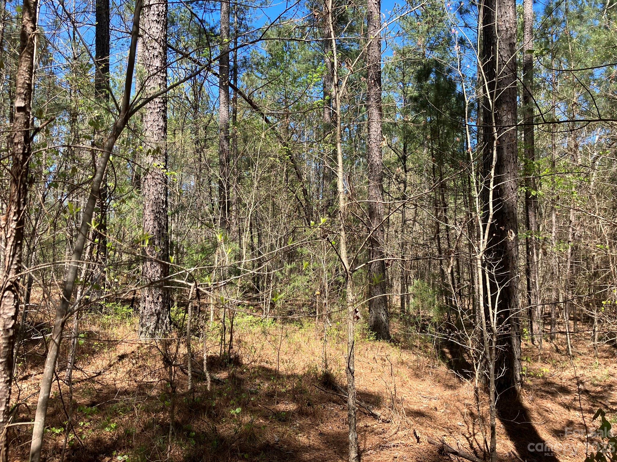 0 Clark Road, Unit LOT 1 Rutherfordton, NC 28139 - Photo 7 of 10