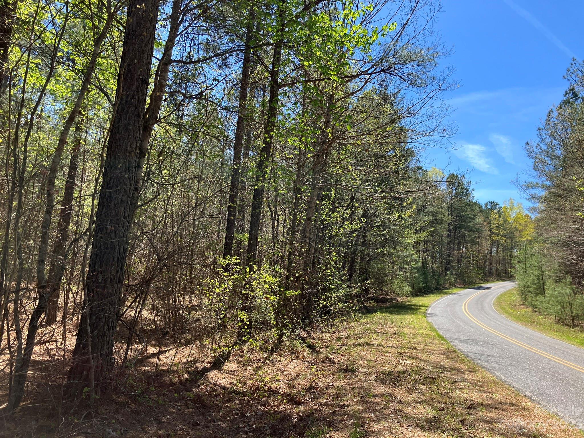 0 Clark Road, Unit LOT 1 Rutherfordton, NC 28139 - Photo 8 of 10