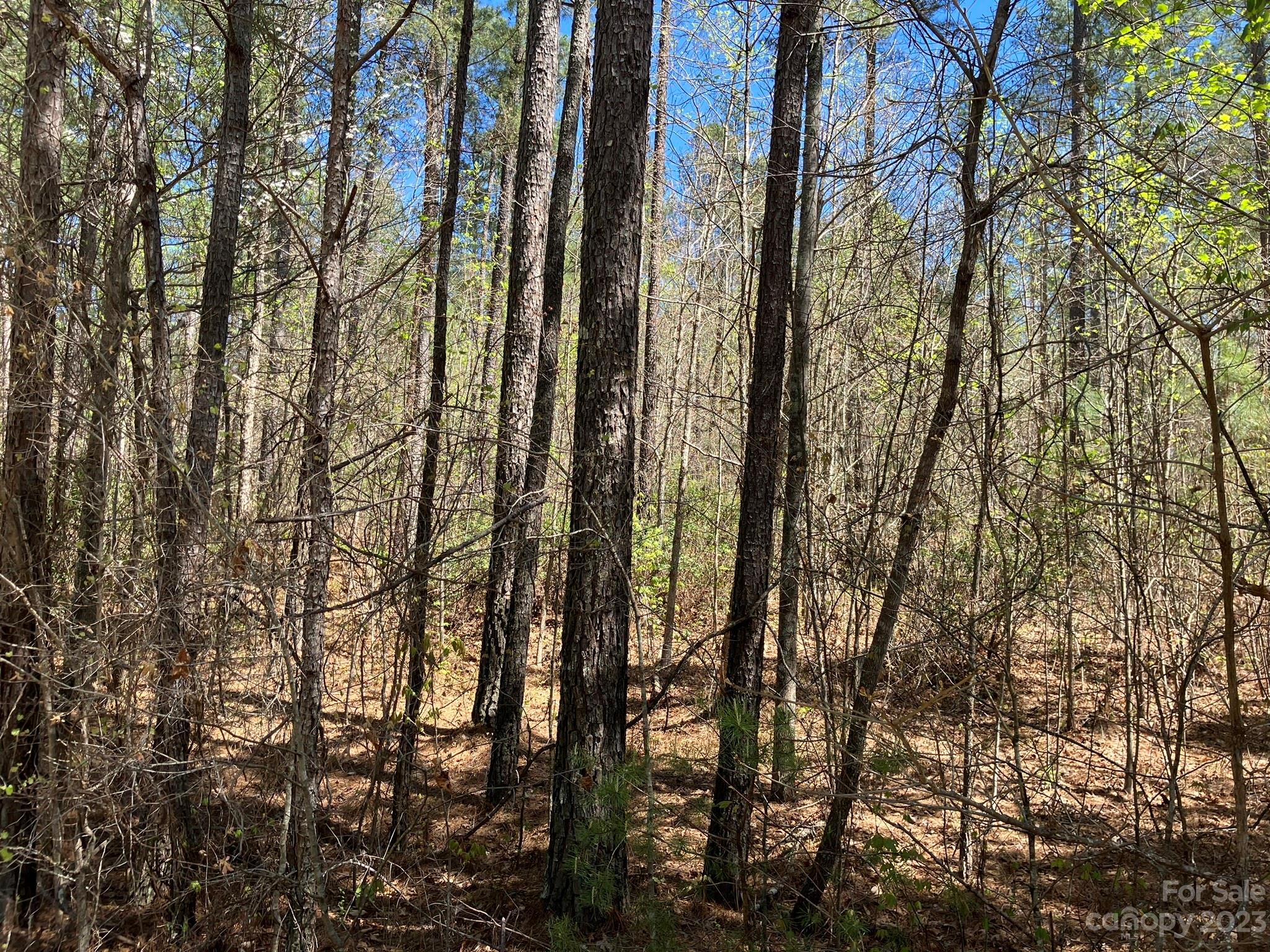0 Clark Road, Unit LOT 1 Rutherfordton, NC 28139 - Photo 9 of 10