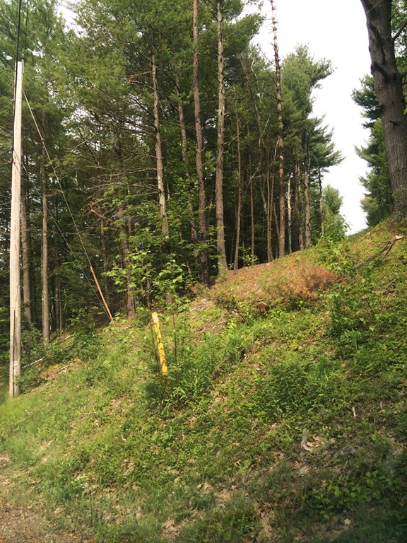 1 Palmer Road Brimfield, MA 01010 - Photo 3 of 3