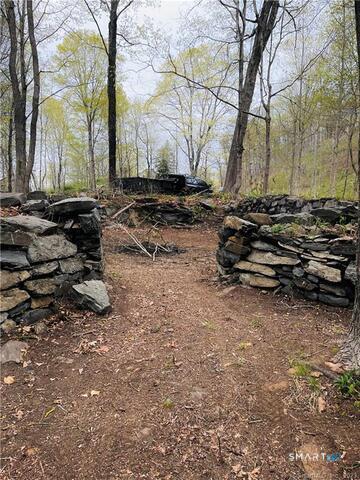 Porges Road East Haddam, CT 06423 - Photo 5 of 6
