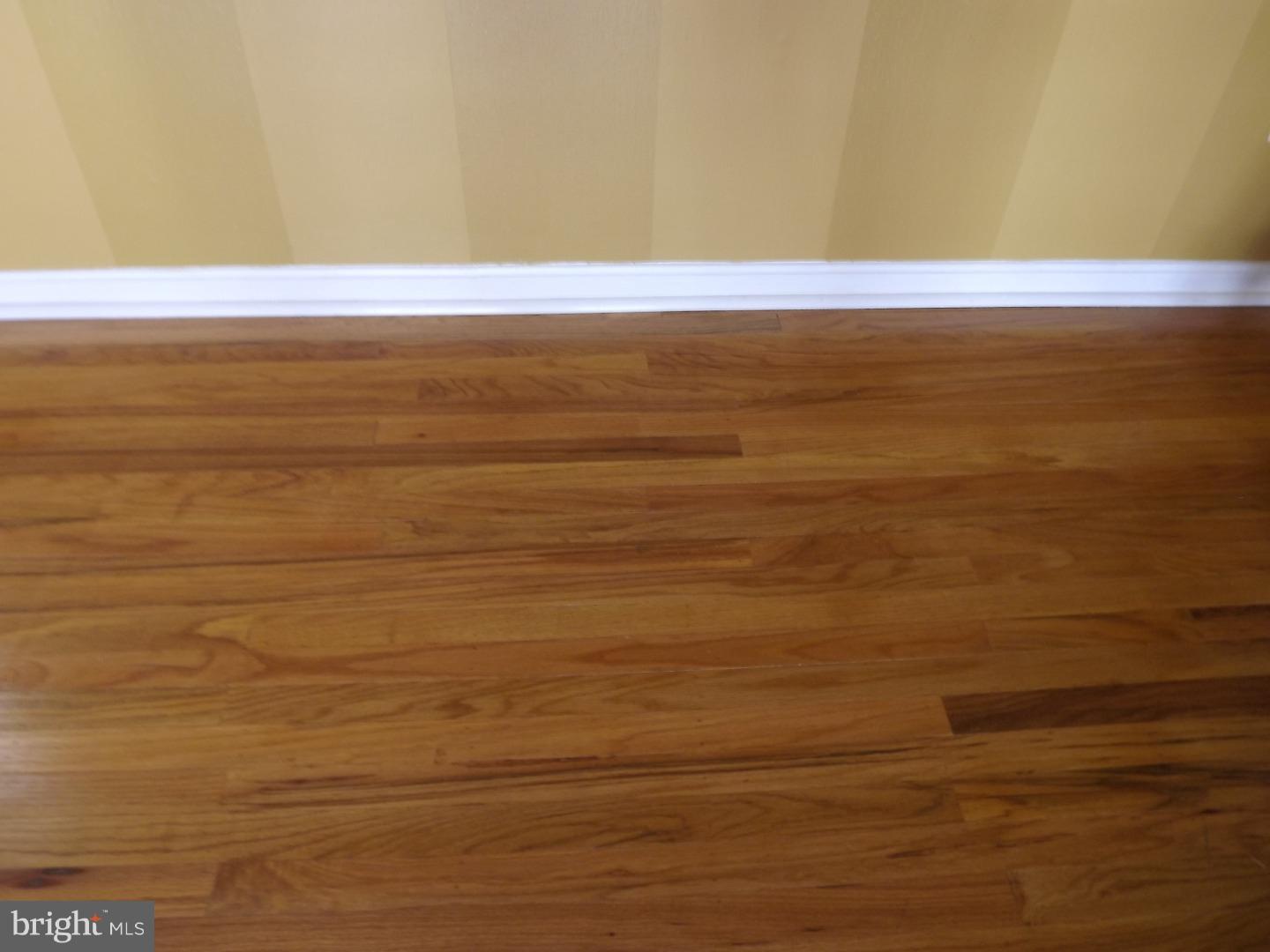 11749 Colman Road Philadelphia, PA 19154 - Photo 20 of 21 Gallery Image 20