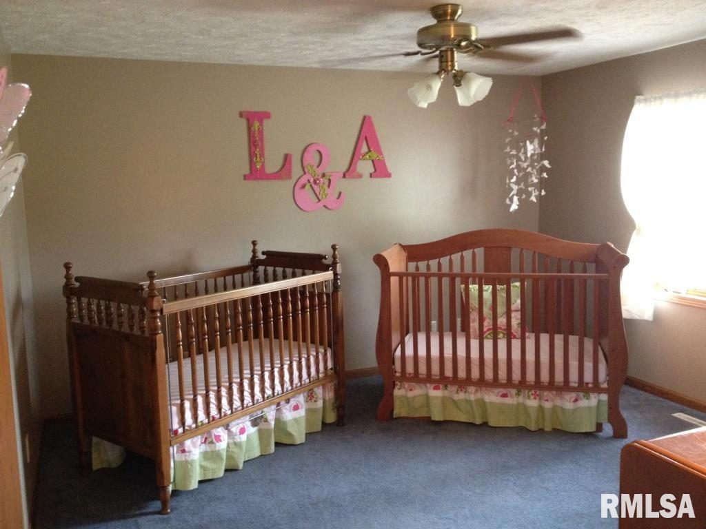 6596 Cordova Road Erie, IL 61250 - Photo 14 of 24 Gallery Image 14