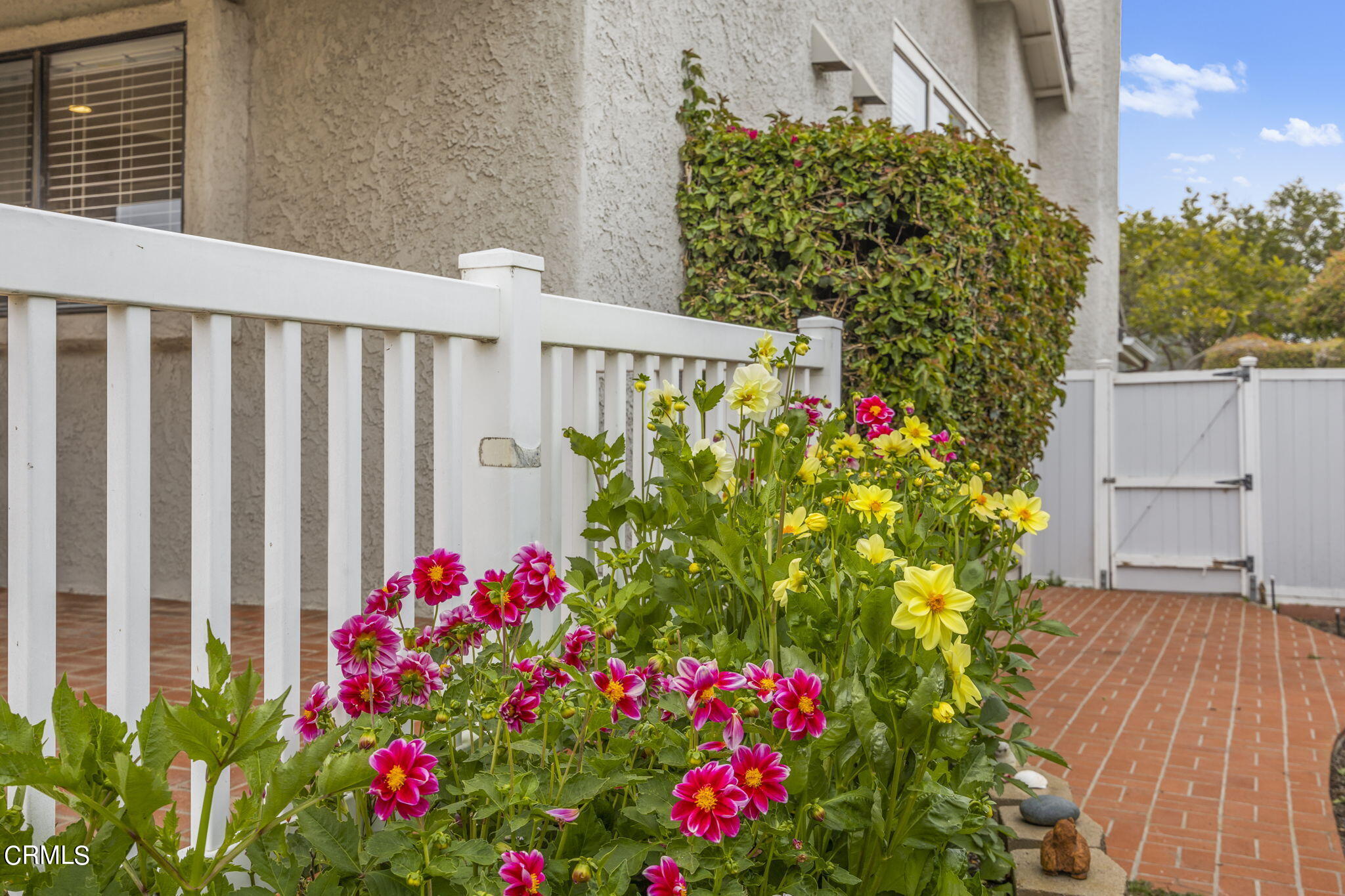 741 Joliet Place Oxnard, CA 93030 - Photo 46 of 51 Side of Patio