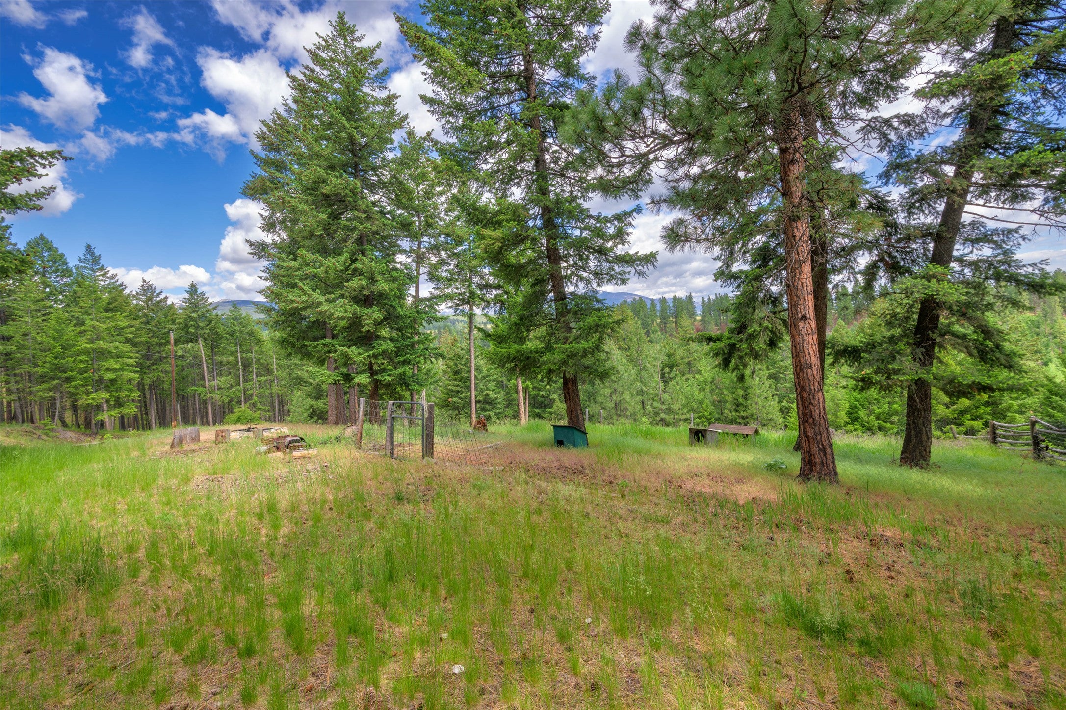 3410 Ray Mountain Road Darby, MT 59829 - Photo 14 of 64 Gallery Image 14