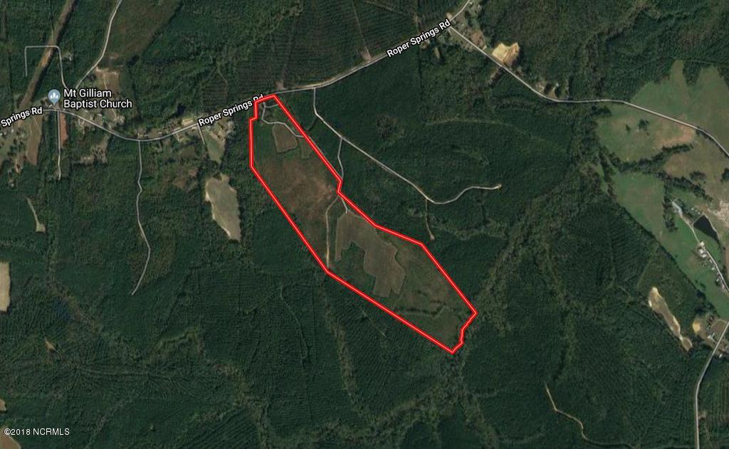 102.37-ac Roper Springs Road Littleton, NC 27850 - Photo 1 of 50 Aerial