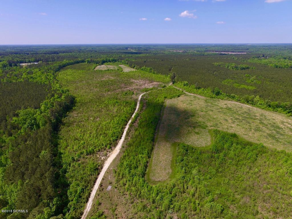 102.37-ac Roper Springs Road Littleton, NC 27850 - Photo 11 of 50 DJI_0186