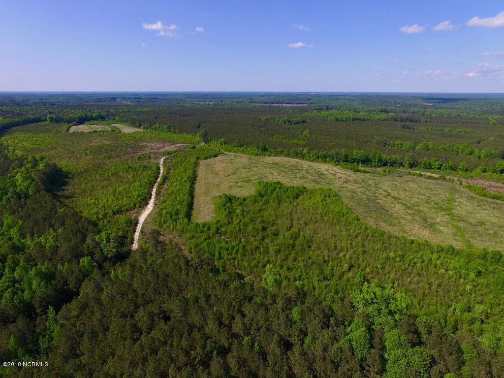 102.37-ac Roper Springs Road Littleton, NC 27850 - Photo 25 of 50 DJI_0235