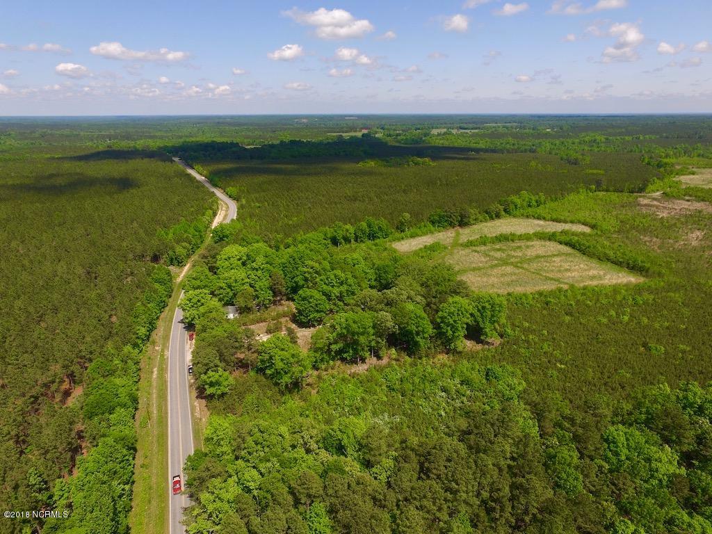 102.37-ac Roper Springs Road Littleton, NC 27850 - Photo 4 of 50 DJI_0160