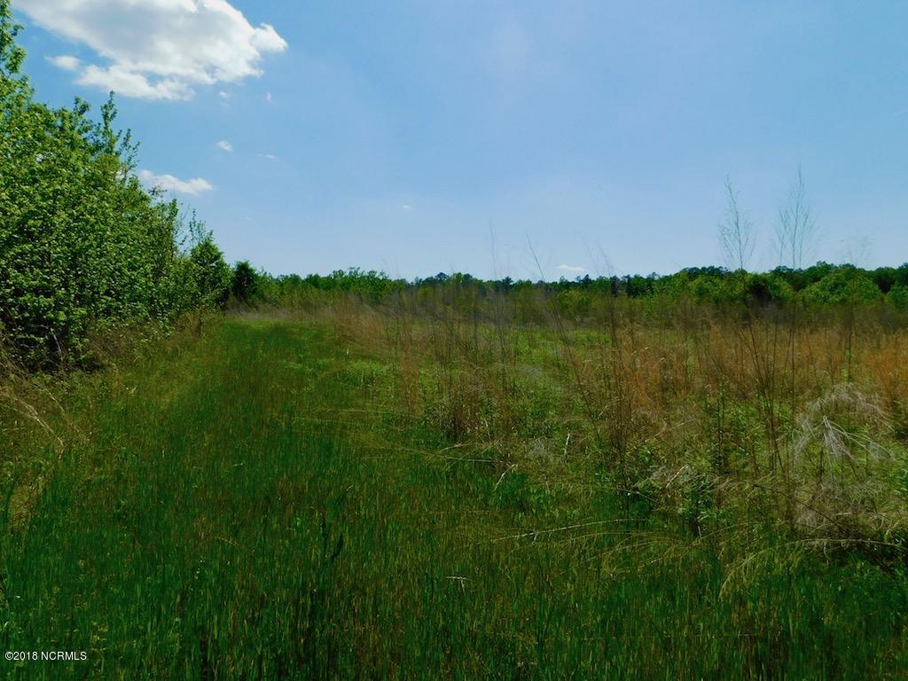 102.37-ac Roper Springs Road Littleton, NC 27850 - Photo 42 of 50 DSCN1112