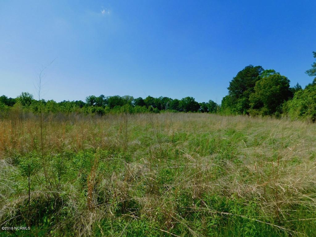 102.37-ac Roper Springs Road Littleton, NC 27850 - Photo 43 of 50 DSCN1113