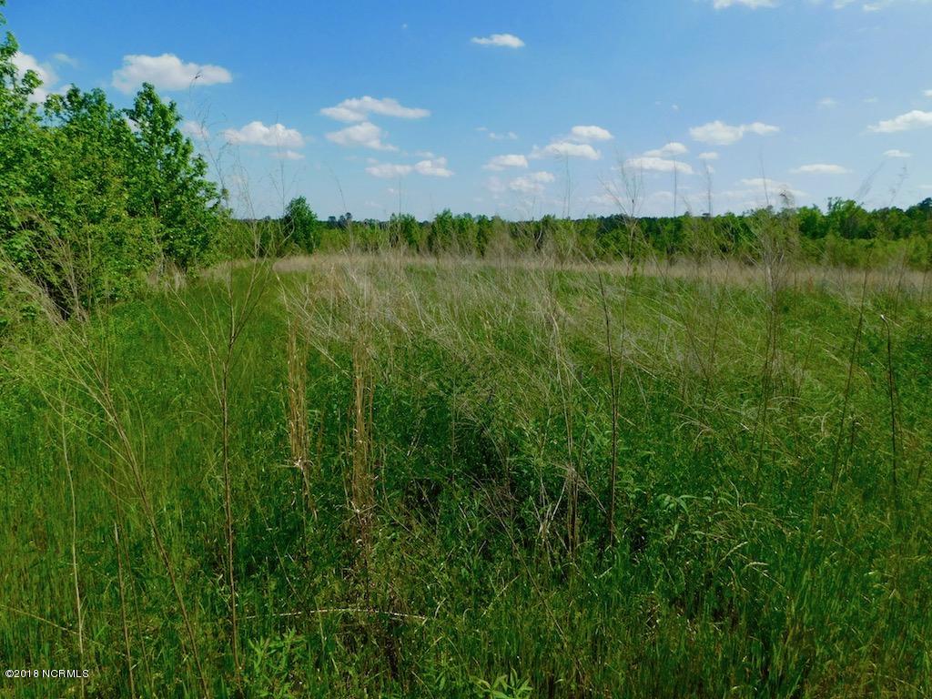 102.37-ac Roper Springs Road Littleton, NC 27850 - Photo 45 of 50 DSCN1117