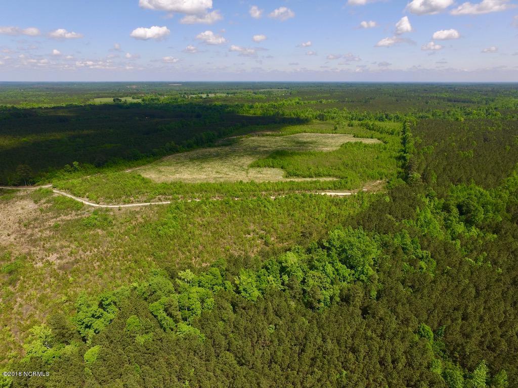 102.37-ac Roper Springs Road Littleton, NC 27850 - Photo 8 of 50 DJI_0171