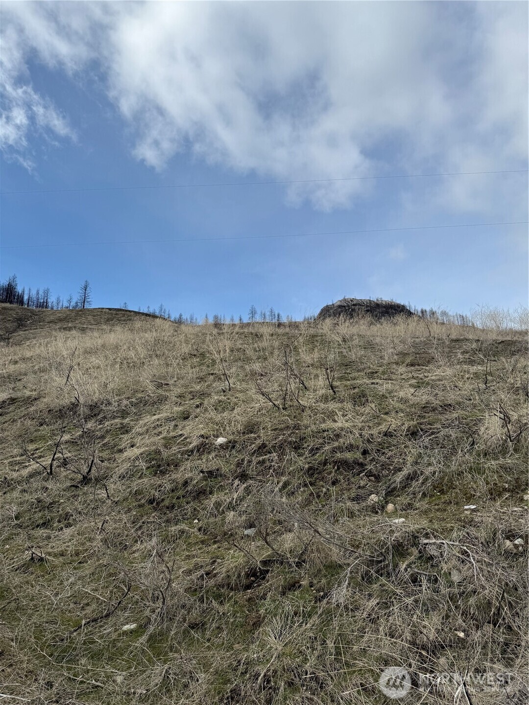 28 Eagles Bluff Road Oroville, WA 98844 - Photo 3 of 9