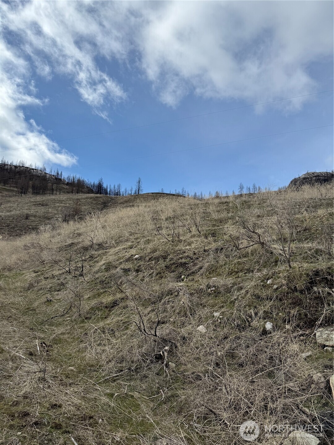 28 Eagles Bluff Road Oroville, WA 98844 - Photo 5 of 9