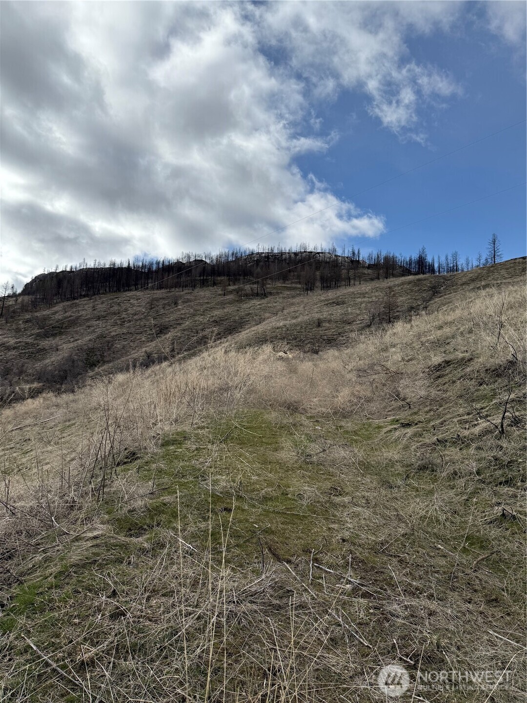 28 Eagles Bluff Road Oroville, WA 98844 - Photo 8 of 9