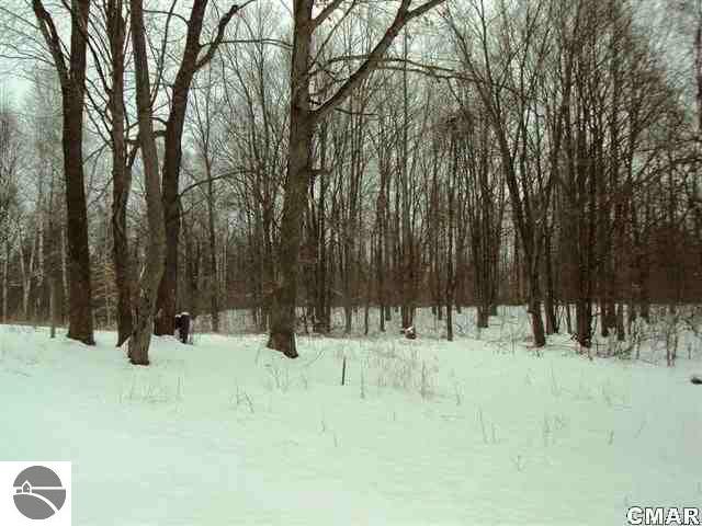 6551 East Cannonsville Road Edmore, MI 48829 - Photo 23 of 24 1769979-22.JPG