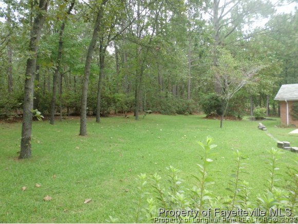 400 Myra Road Raeford, NC 28376 - Photo 23 of 24 a view of green field with trees in the background