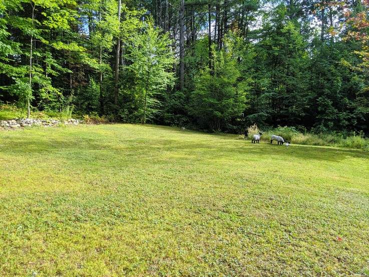 9 River Road Gilford, NH 03249 - Photo 36 of 40