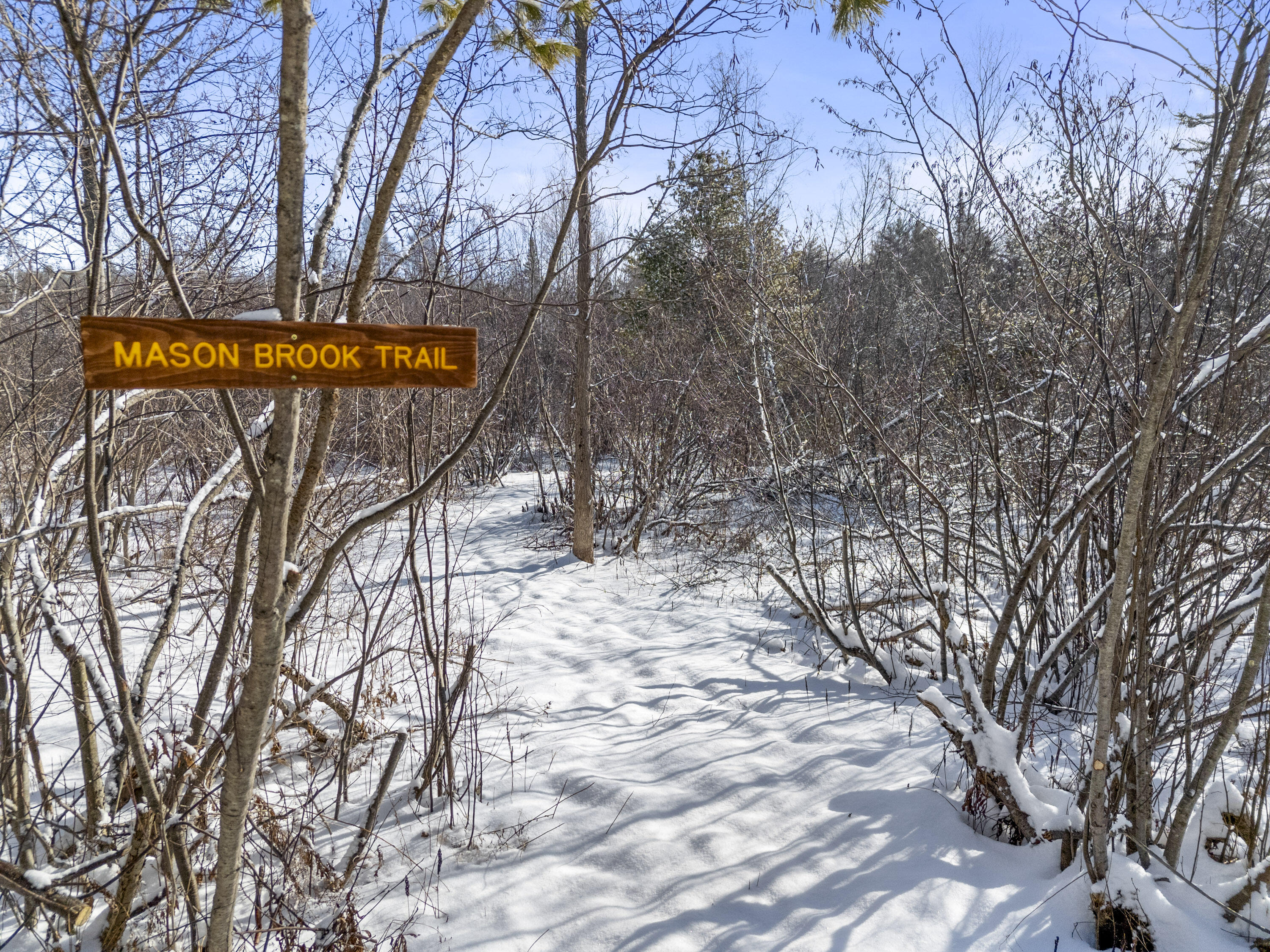 3 Meadow Lane Leeds, ME 04263 - Photo 10 of 38 3 Meadow Ln_141