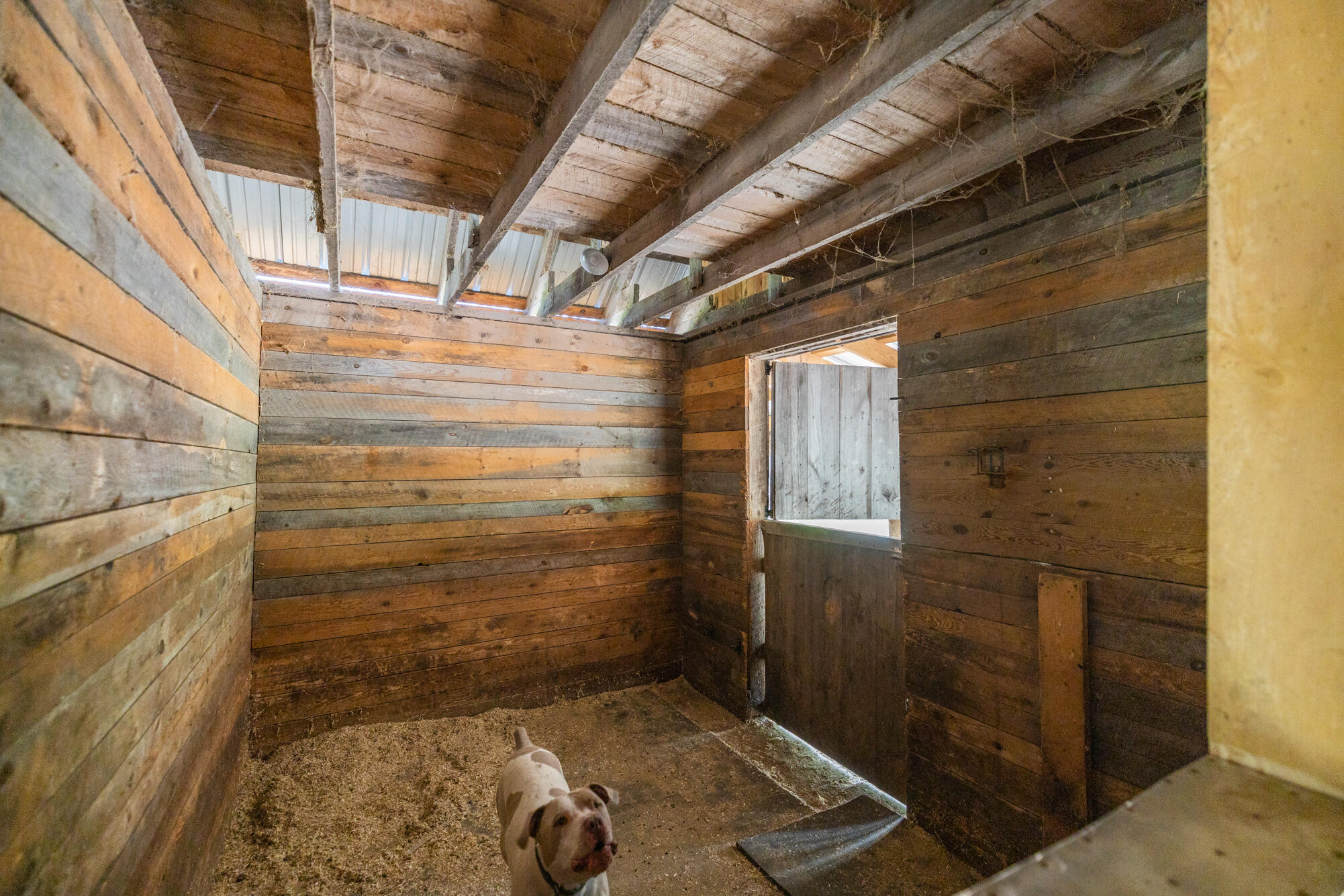 29 River Road West Baldwin, ME 04091 - Photo 25 of 32 6I3A8477-HDR