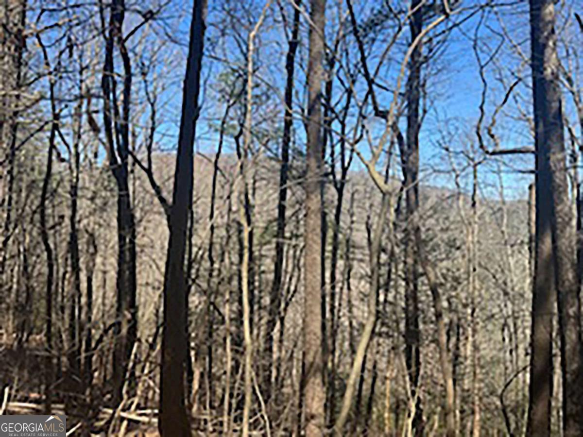 Lot 14 Butler Creek Road Cherry Log, GA 30522 - Photo 1 of 8 Gallery Image 1