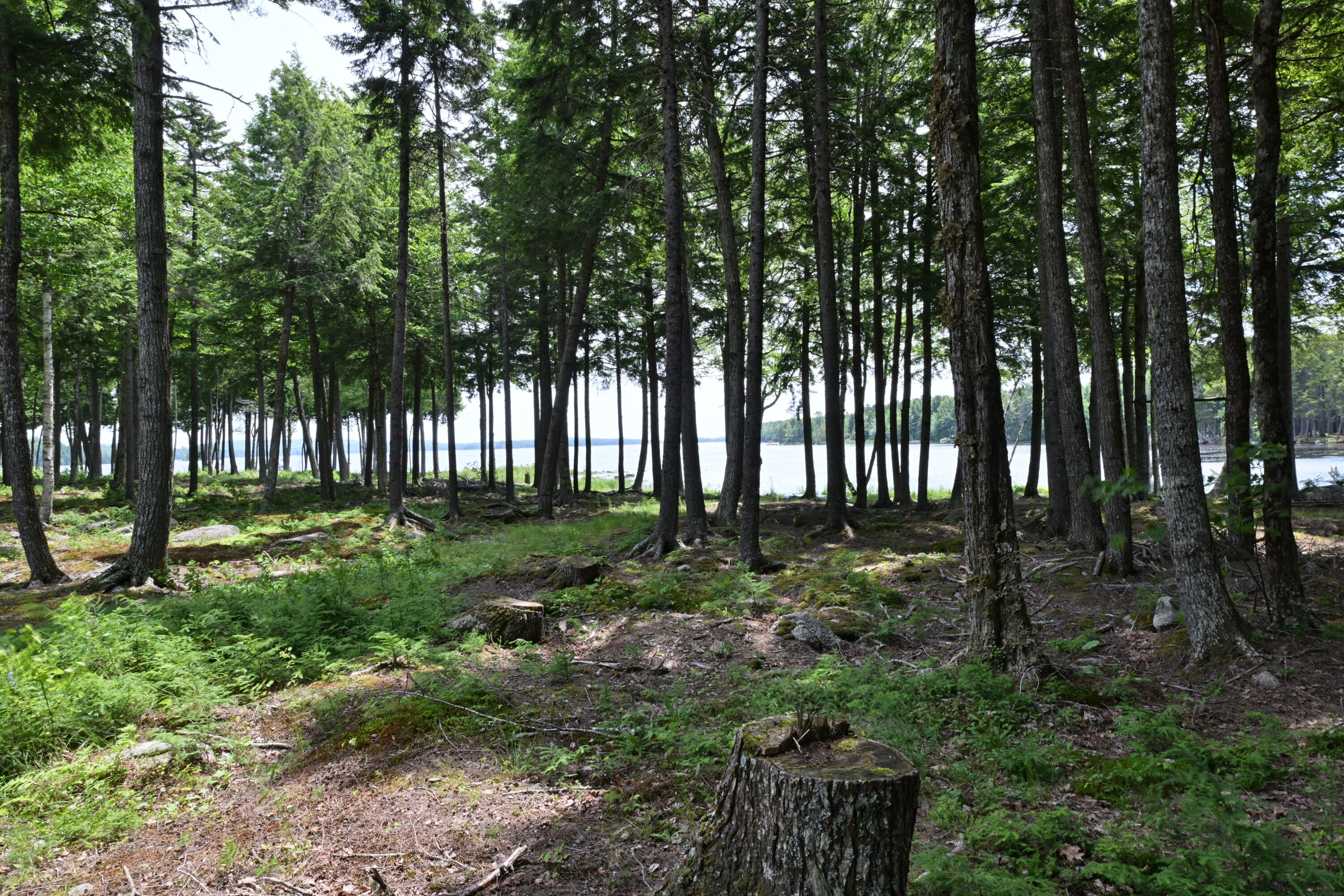 309 Rocky Road Lakeville, ME 04487 - Photo 33 of 48 DSC_6503