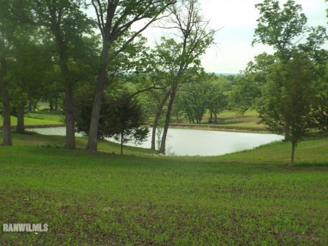Tbd Brandt Road Scales Mound, IL 61075 - Photo 2 of 7 Gallery Image 2
