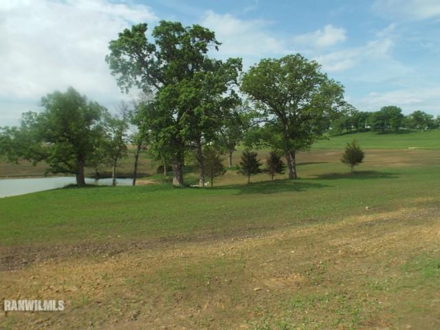 Tbd Brandt Road Scales Mound, IL 61075 - Photo 4 of 7 Gallery Image 4
