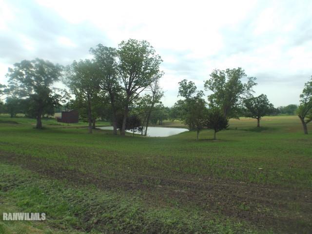 Tbd Brandt Road Scales Mound, IL 61075 - Photo 6 of 7 Gallery Image 6