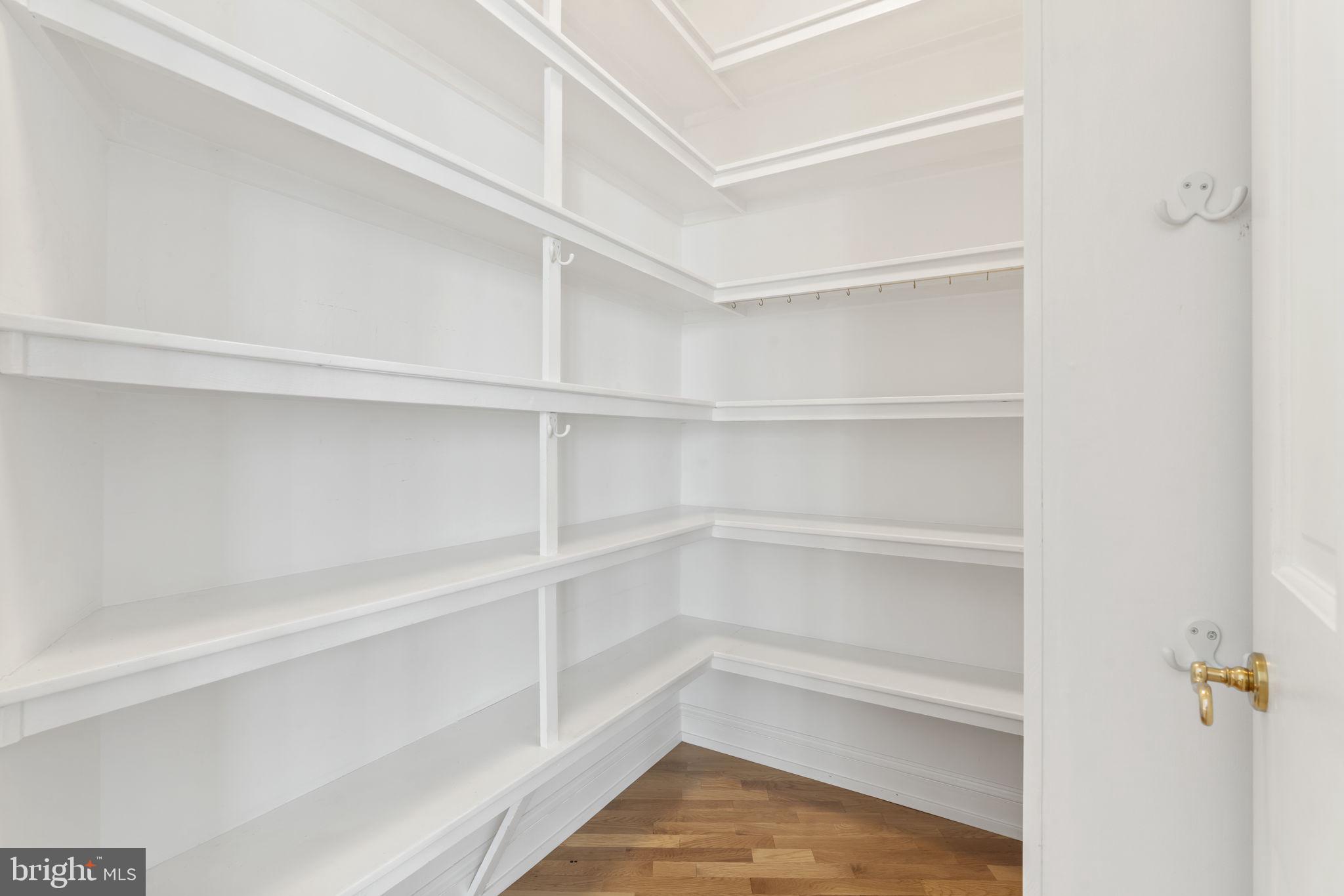 841 Mt Moro Road Villanova, PA 19085 - Photo 20 of 57 a view of walk in closet with empty racks